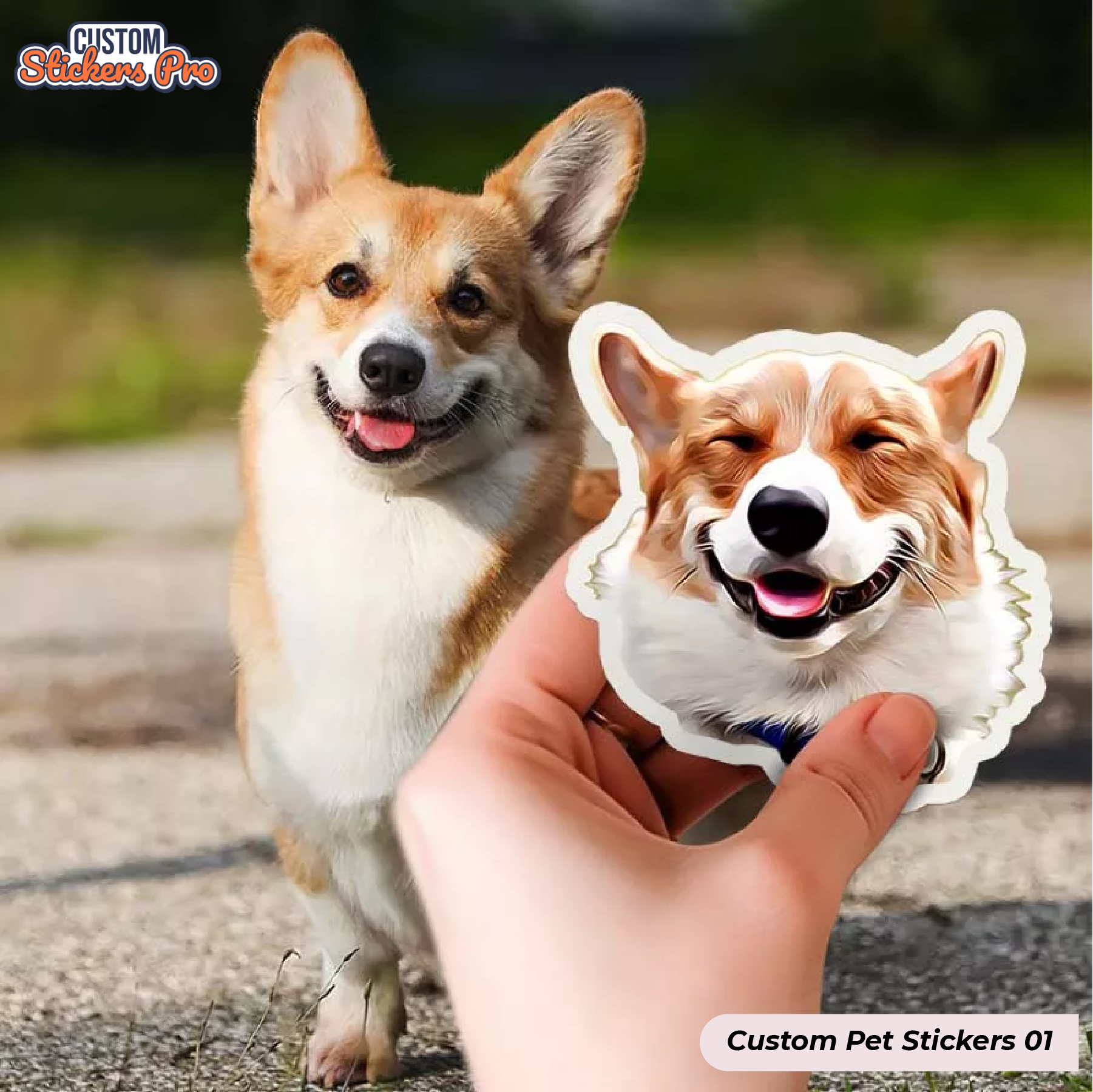 Product Gallery Image